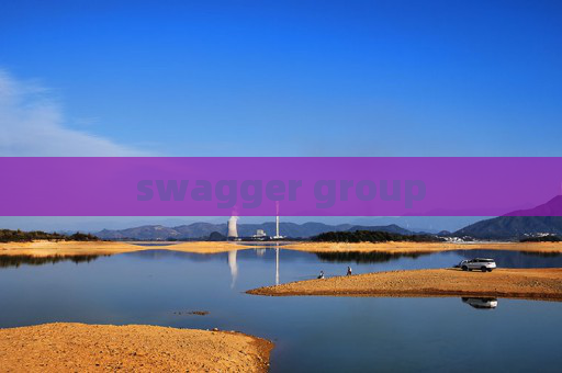 swagger group